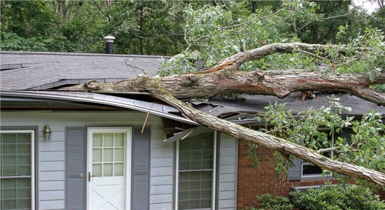 storm damage, tree falling on house