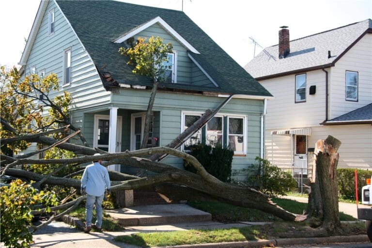 house with storm damage, tree down