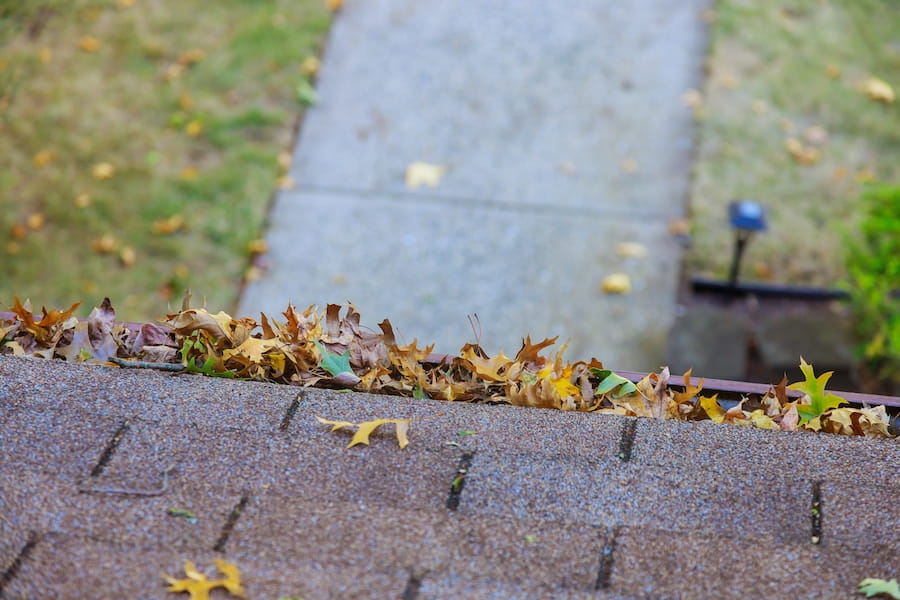 Gutter clogged with leaves 