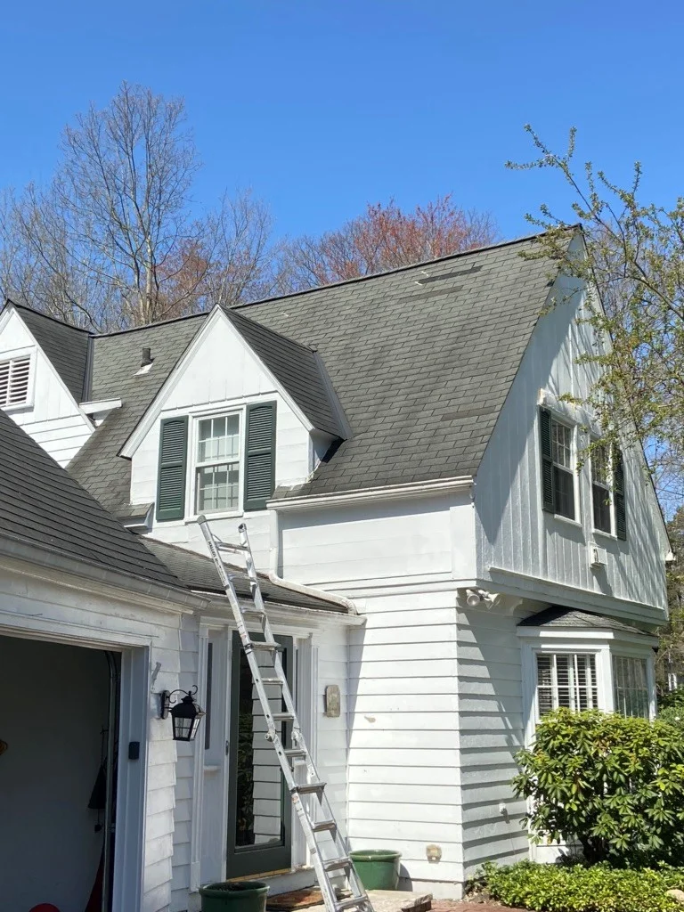 roof algae causing dark streaks on shingles
