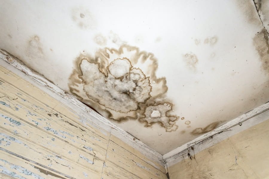 Mold growth on ceiling caused by unresolved roof leak