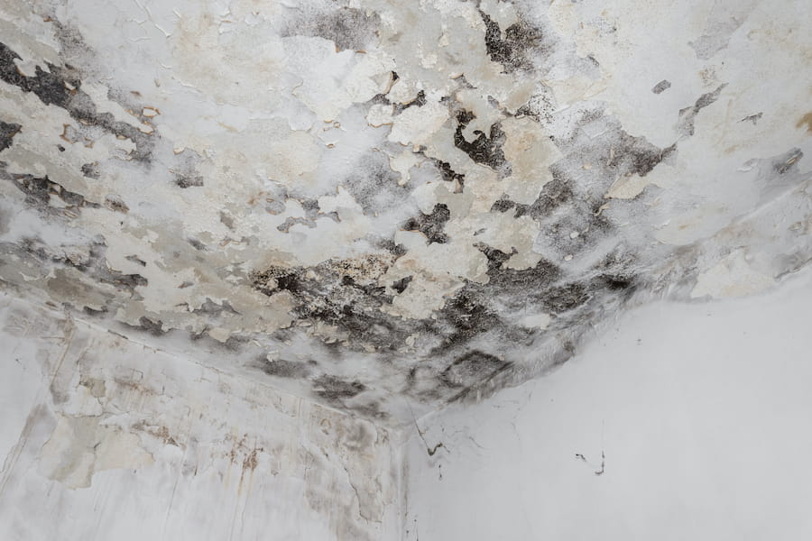 Interior ceiling damage showing late signs of a roof leak