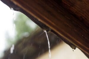 Roof shingles damaged by wind and storm exposure causing leak points