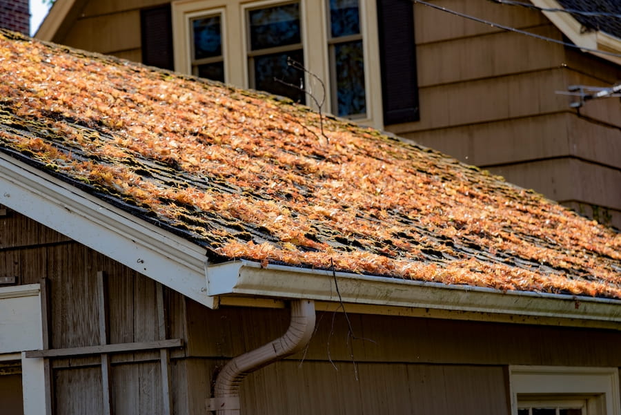Leaves and tree debris collecting in an asphalt roof valley