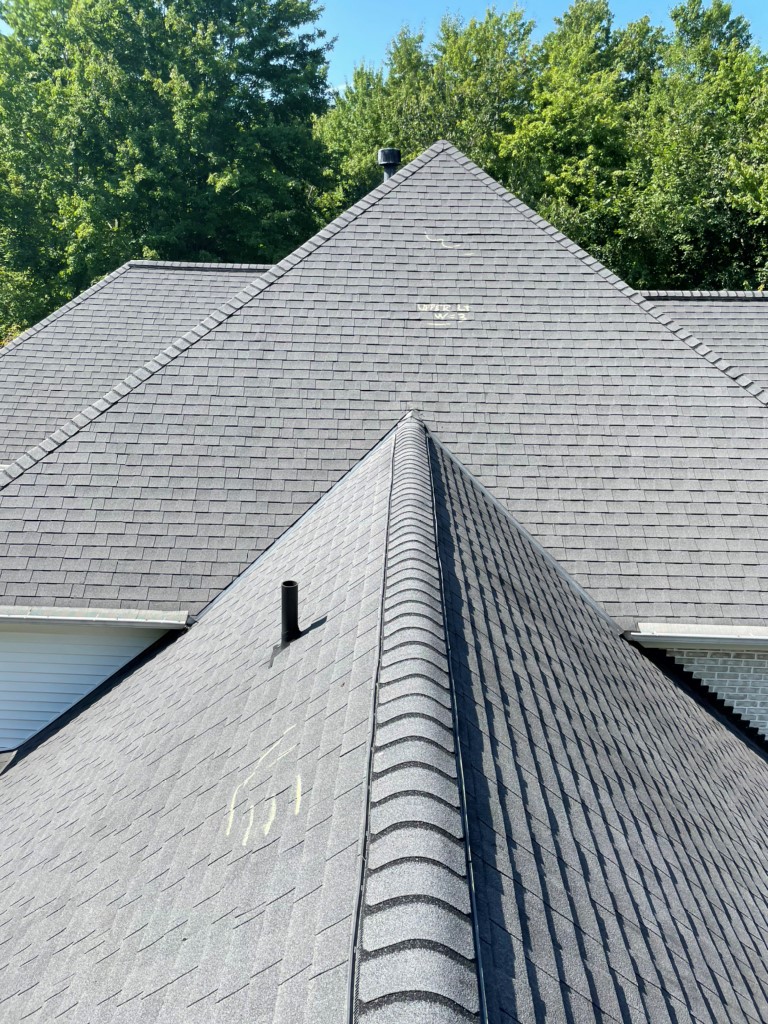 Freshly cleaned asphalt roofing