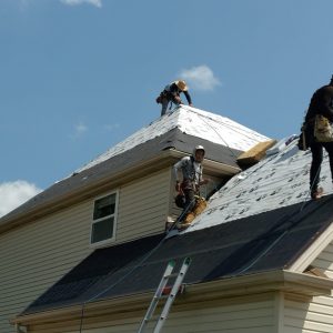 Spartan Gallery images435